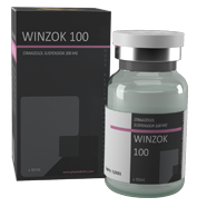winzok-100